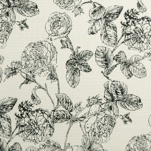 Bw1035 Black/White by Clarke And Clarke Fabric