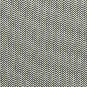 Zalika Charcoal by Clarke And Clarke Fabric