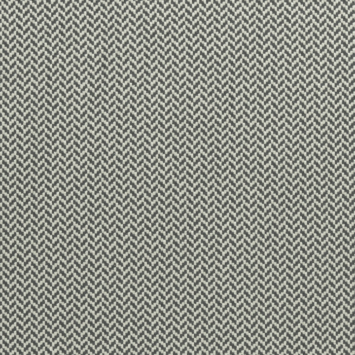 Zalika Charcoal by Clarke And Clarke Fabric CLARKE & CLARKE AMARA COTTON - 97%;POLYESTER - 3% India HEAVY Horizontal: 0.43 and Vertical: 0.24 55 - Fabric Carolina -