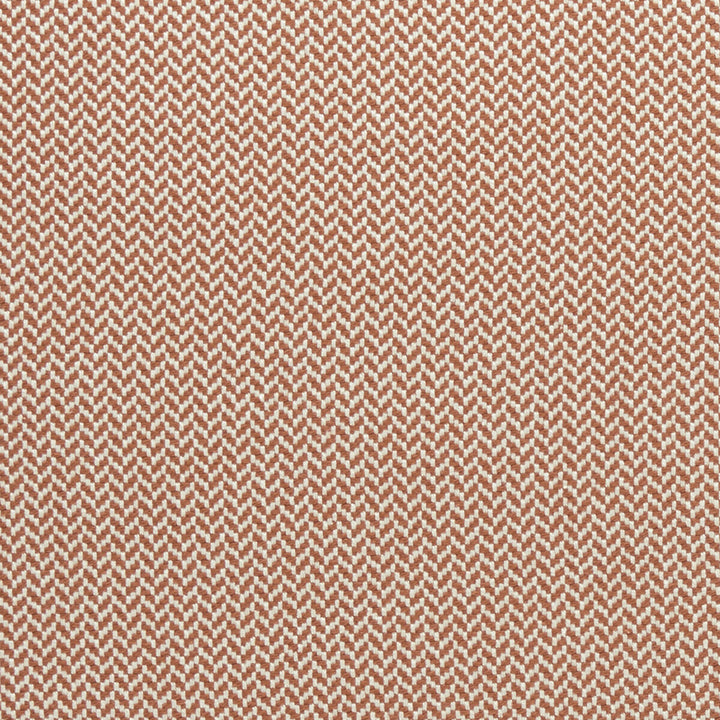 Zalika Cinnabar by Clarke And Clarke Fabric CLARKE & CLARKE AMARA COTTON - 97%;POLYESTER - 3% India HEAVY Horizontal: 0.43 and Vertical: 0.24 55 - Fabric Carolina -