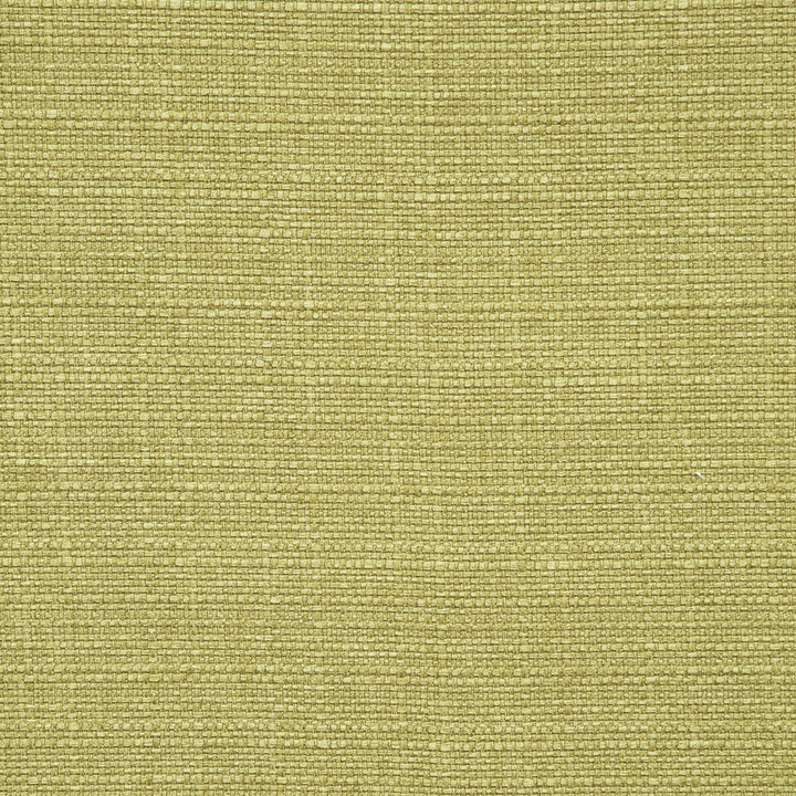 Brixham Apple by Clarke And Clarke Fabric CLARKE & CLARKE BRIXHAM POLYESTER - 100% China HEAVY Horizontal: 0 and Vertical: 0 56 - Fabric Carolina -