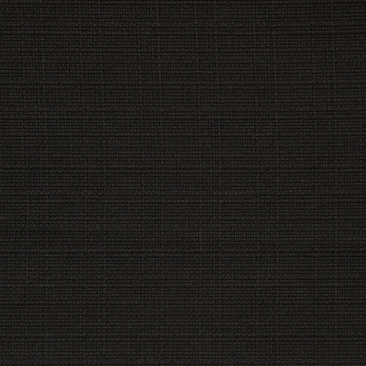 F0964 14 Brixham Ebony by Clarke and Clarke Fabric STUDIO G POLYESTER - 100% China HEAVY Horizontal: 0 and Vertical: 0 56  - Fabric Carolina -