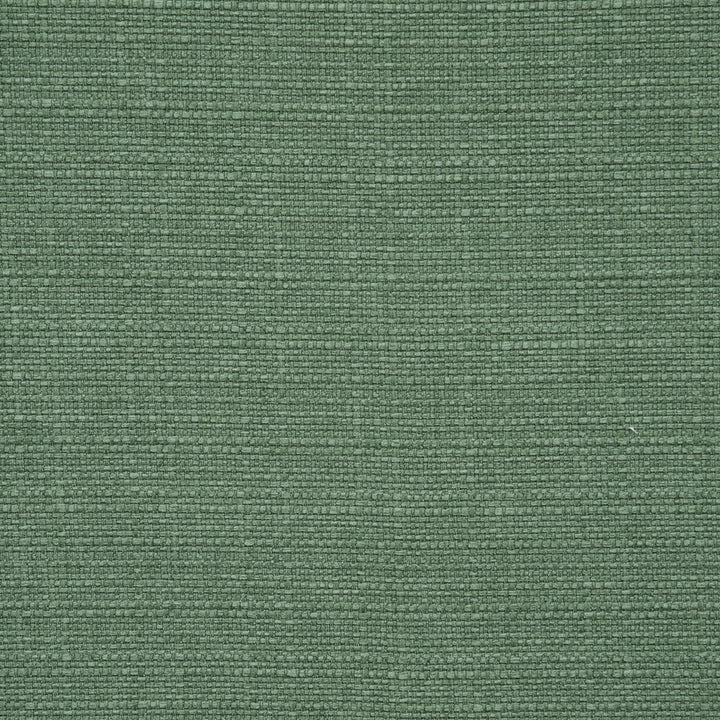 F0964 16 Brixham Forest by Clarke and Clarke Fabric STUDIO G POLYESTER - 100% China HEAVY Horizontal: 0 and Vertical: 0 56  - Fabric Carolina -