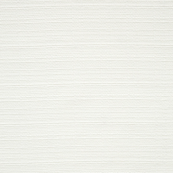 Brixham Natural by Clarke And Clarke Fabric CLARKE & CLARKE BRIXHAM POLYESTER - 100% China HEAVY Horizontal: 0 and Vertical: 0 56 - Fabric Carolina -