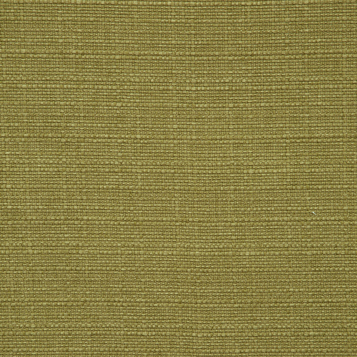 F0964 29 Brixham Olive by Clarke and Clarke Fabric STUDIO G POLYESTER - 100% China HEAVY Horizontal: 0 and Vertical: 0 56  - Fabric Carolina -