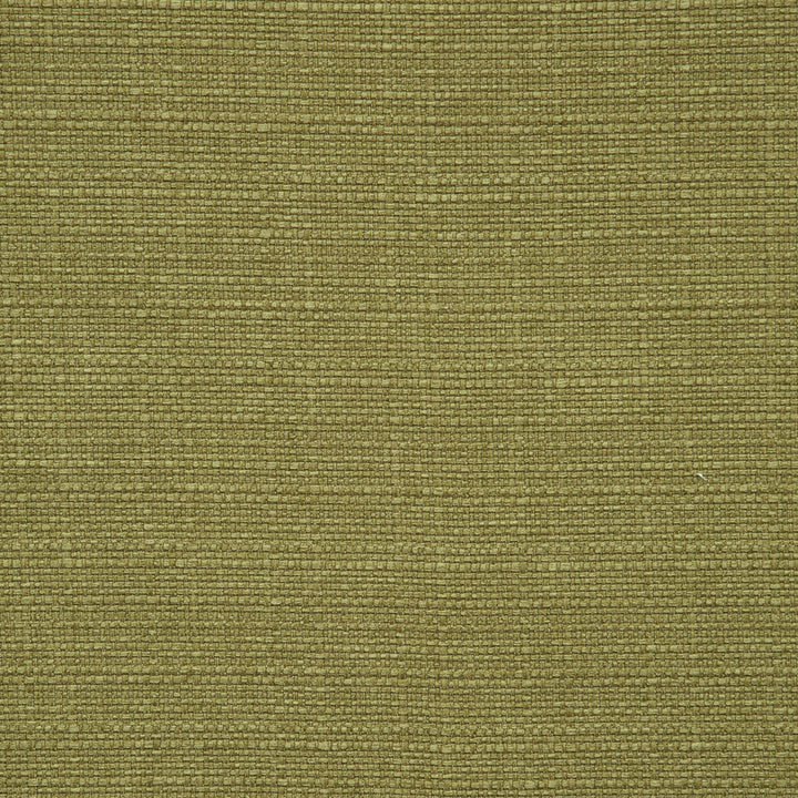 Brixham Olive by Clarke And Clarke Fabric CLARKE & CLARKE BRIXHAM POLYESTER - 100% China HEAVY Horizontal: 0 and Vertical: 0 56 - Fabric Carolina -