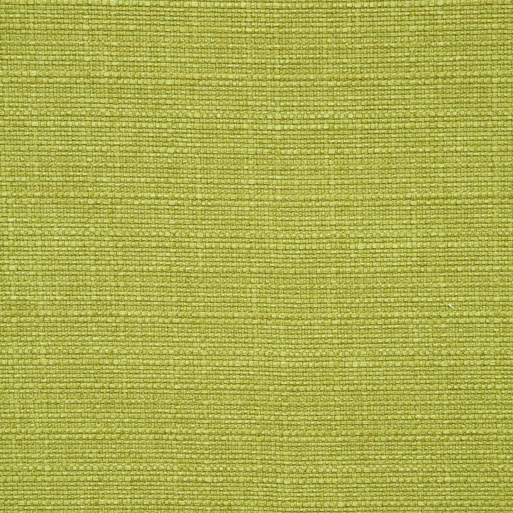 F0964 30 Brixham Palm by Clarke and Clarke Fabric STUDIO G POLYESTER - 100% China HEAVY Horizontal: 0 and Vertical: 0 56  - Fabric Carolina -