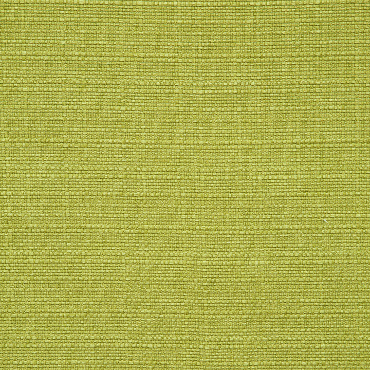 F0964 30 Brixham Palm by Clarke and Clarke Fabric STUDIO G POLYESTER - 100% China HEAVY Horizontal: 0 and Vertical: 0 56  - Fabric Carolina -