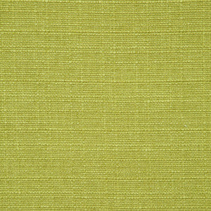 Brixham Palm by Clarke And Clarke Fabric