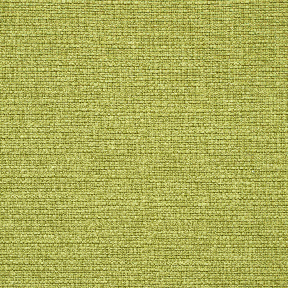Brixham Palm by Clarke And Clarke Fabric CLARKE & CLARKE BRIXHAM POLYESTER - 100% China HEAVY Horizontal: 0 and Vertical: 0 56 - Fabric Carolina -