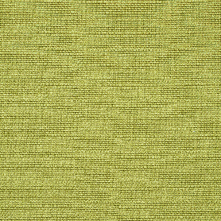 Brixham Palm by Clarke And Clarke Fabric CLARKE & CLARKE BRIXHAM POLYESTER - 100% China HEAVY Horizontal: 0 and Vertical: 0 56 - Fabric Carolina -