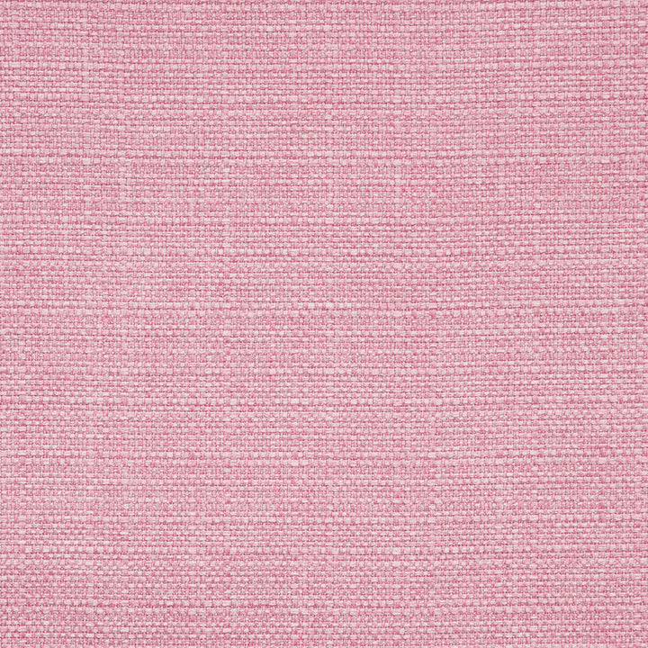 Brixham Peony by Clarke And Clarke Fabric CLARKE & CLARKE BRIXHAM POLYESTER - 100% China HEAVY Horizontal: 0 and Vertical: 0 56 - Fabric Carolina -