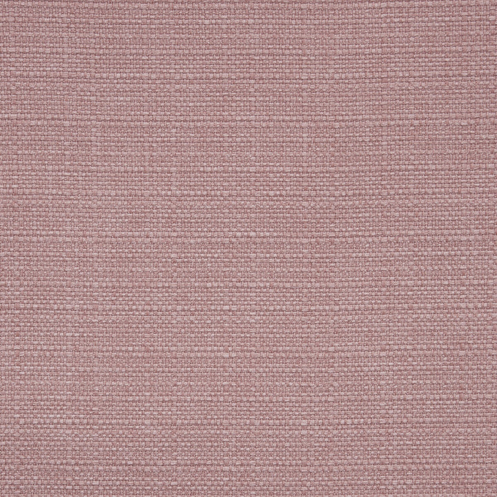 Brixham Rose by Clarke And Clarke Fabric CLARKE & CLARKE BRIXHAM POLYESTER - 100% China HEAVY Horizontal: 0 and Vertical: 0 56 - Fabric Carolina -