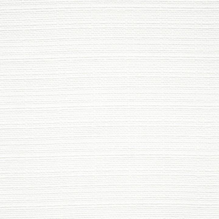 Brixham Snow by Clarke And Clarke Fabric CLARKE & CLARKE BRIXHAM POLYESTER - 100% China HEAVY Horizontal: 0 and Vertical: 0 56 - Fabric Carolina -