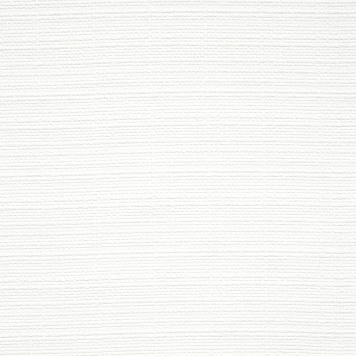 F0964 38 Brixham Snow by Clarke and Clarke Fabric STUDIO G POLYESTER - 100% China HEAVY Horizontal: 0 and Vertical: 0 56  - Fabric Carolina -