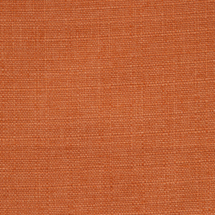 F0964 39 Brixham Spice by Clarke and Clarke Fabric STUDIO G POLYESTER - 100% China HEAVY Horizontal: 0 and Vertical: 0 56  - Fabric Carolina -