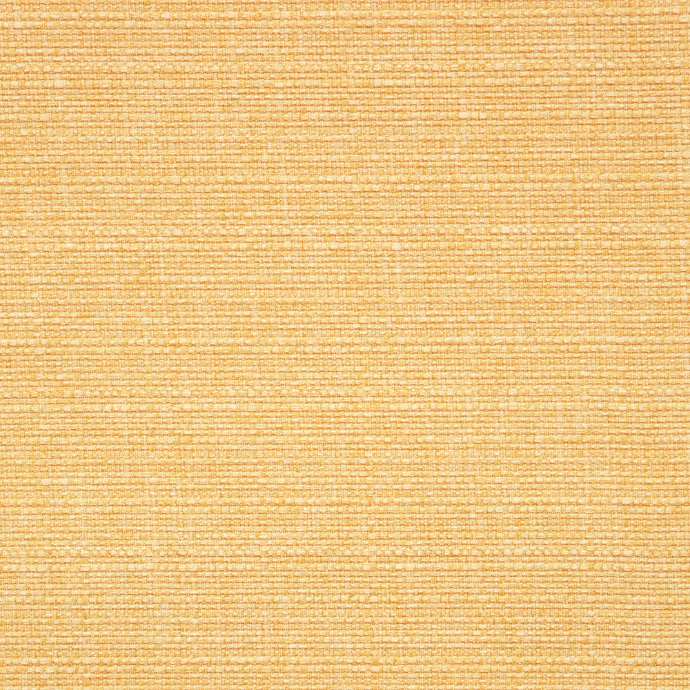 F0964 44 Brixham Sunshine by Clarke and Clarke Fabric STUDIO G POLYESTER - 100% China HEAVY Horizontal: 0 and Vertical: 0 56  - Fabric Carolina -