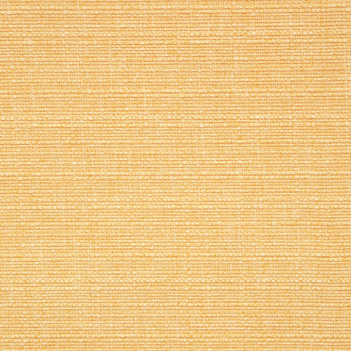 F0964 44 Brixham Sunshine by Clarke and Clarke Fabric STUDIO G POLYESTER - 100% China HEAVY Horizontal: 0 and Vertical: 0 56  - Fabric Carolina -