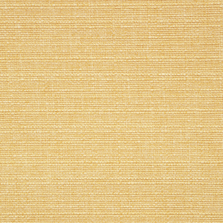 Brixham Sunshine by Clarke And Clarke Fabric CLARKE & CLARKE BRIXHAM POLYESTER - 100% China HEAVY Horizontal: 0 and Vertical: 0 56 - Fabric Carolina -