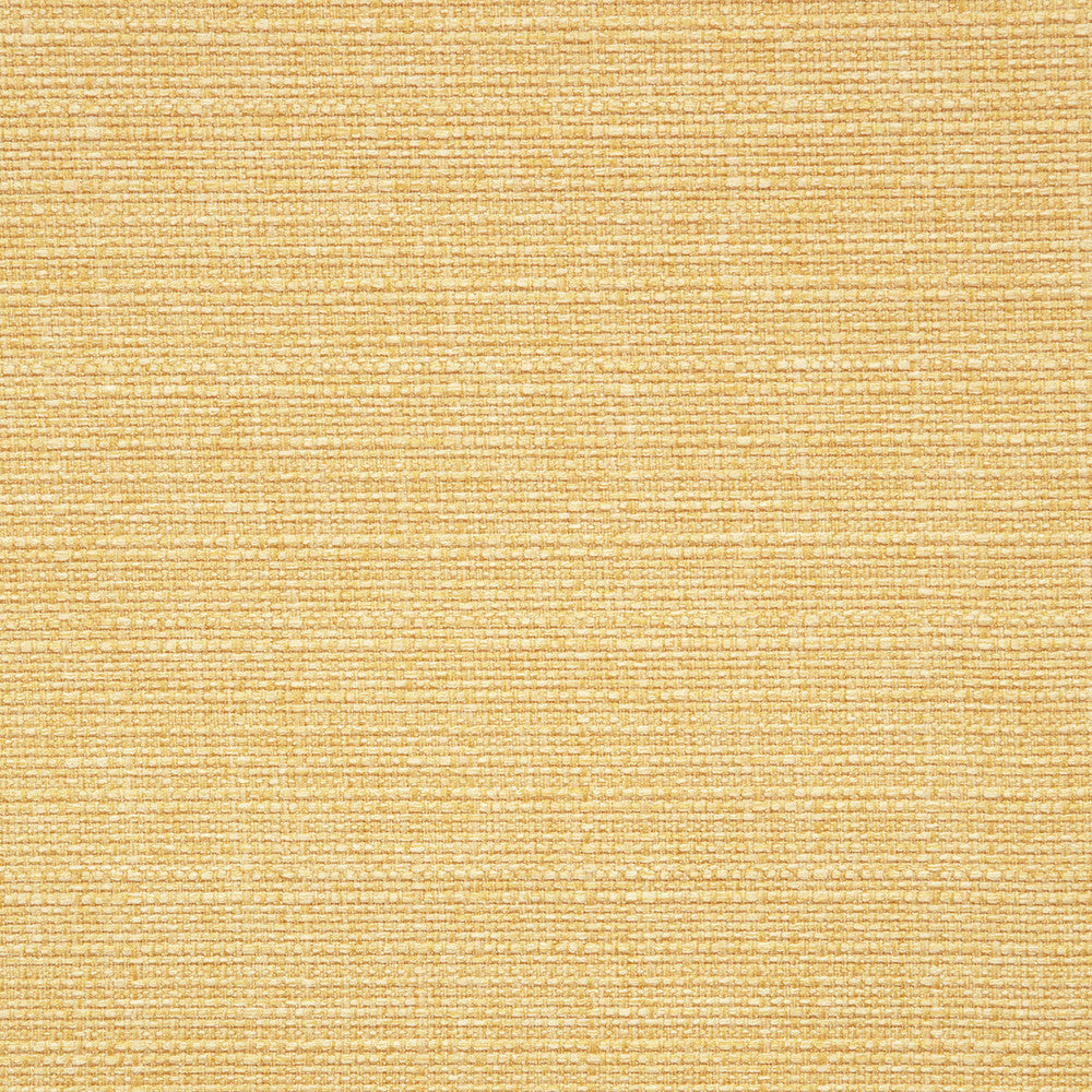 Brixham Sunshine by Clarke And Clarke Fabric CLARKE & CLARKE BRIXHAM POLYESTER - 100% China HEAVY Horizontal: 0 and Vertical: 0 56 - Fabric Carolina -