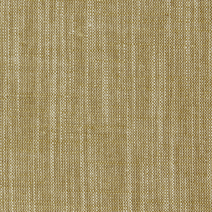 Biarritz Antique by Clarke And Clarke Fabric CLARKE & CLARKE BIARRITZ VISCOSE - 70%;LINEN - 30% India HEAVY Horizontal: 0 and Vertical: 0 55 - Fabric Carolina -