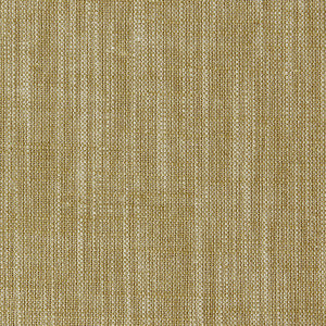 Biarritz Antique by Clarke And Clarke Fabric