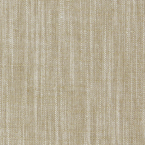 Biarritz Bamboo by Clarke And Clarke Fabric
