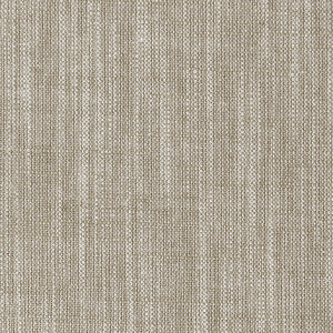 Biarritz Cappuccino by Clarke And Clarke Fabric
