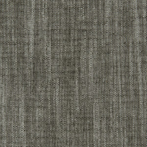 Biarritz Charcoal by Clarke And Clarke Fabric