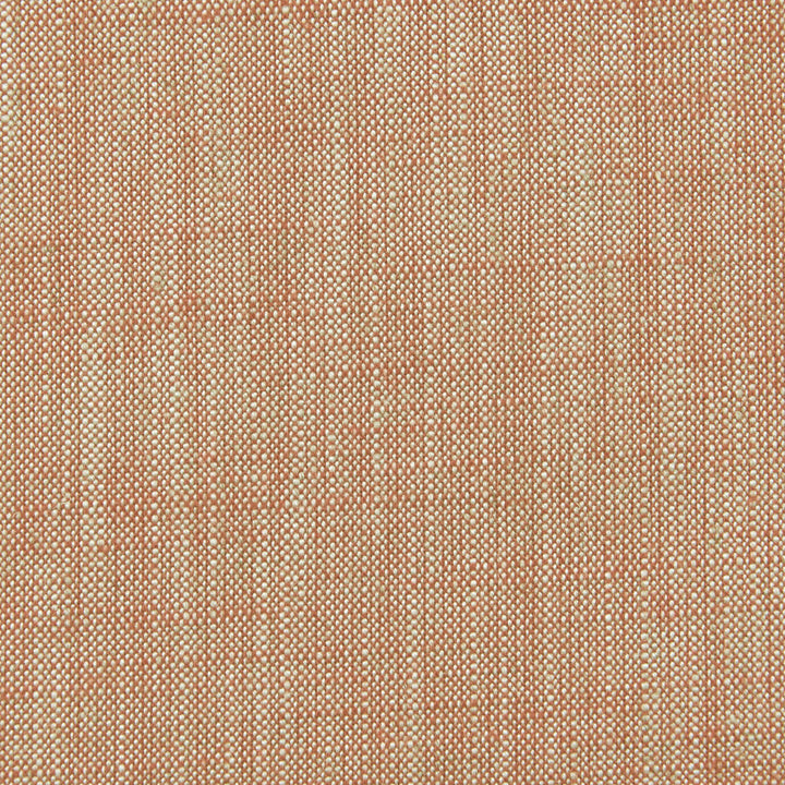 F0965 10 Biarritz Cinnamon by Clarke and Clarke Fabric CLARKE & CLARKE VISCOSE - 70%;LINEN - 30% India HEAVY Horizontal: 0 and Vertical: 0 55  - Fabric Carolina -