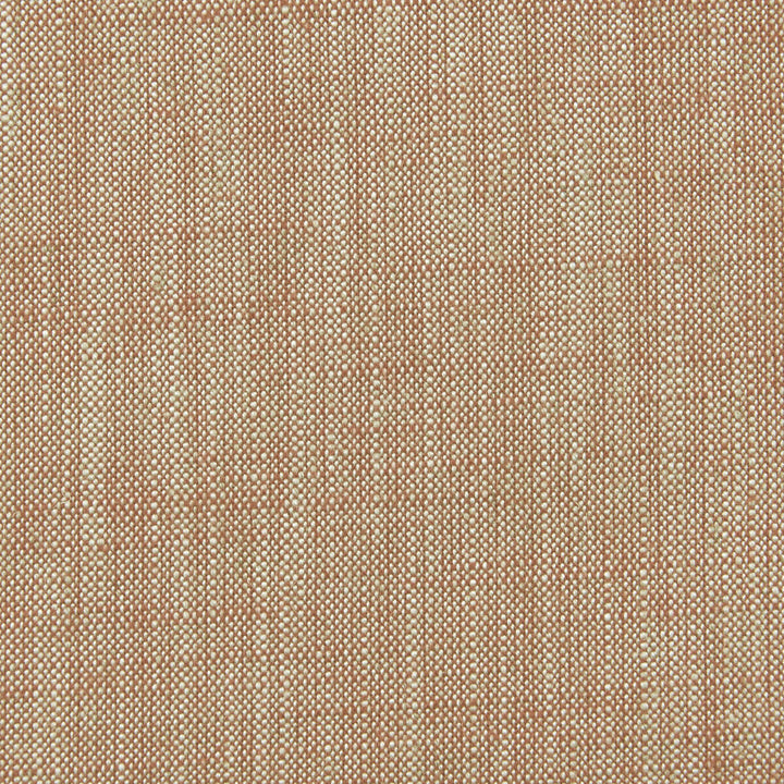 Biarritz Cinnamon by Clarke And Clarke Fabric CLARKE & CLARKE BIARRITZ VISCOSE - 70%;LINEN - 30% India HEAVY Horizontal: 0 and Vertical: 0 55 - Fabric Carolina -