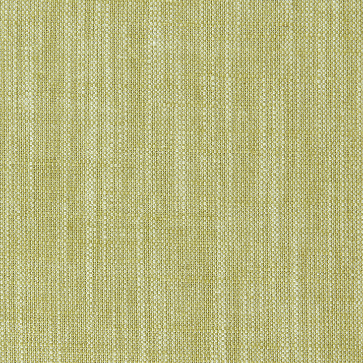 Biarritz Citrus by Clarke And Clarke Fabric CLARKE & CLARKE BIARRITZ VISCOSE - 70%;LINEN - 30% India HEAVY Horizontal: 0 and Vertical: 0 55 - Fabric Carolina -