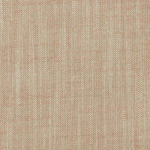Biarritz Coral by Clarke And Clarke Fabric