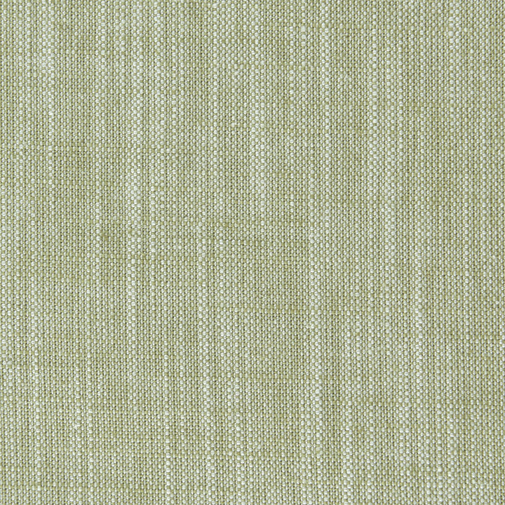 Biarritz Eucalyptus by Clarke And Clarke Fabric CLARKE & CLARKE BIARRITZ VISCOSE - 70%;LINEN - 30% India HEAVY Horizontal: 0 and Vertical: 0 55 - Fabric Carolina -