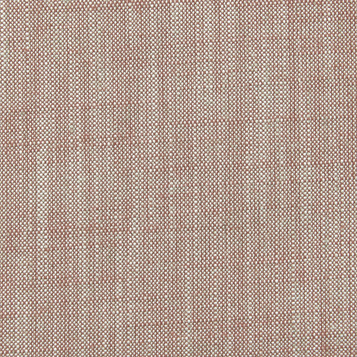 Biarritz Geranium by Clarke And Clarke Fabric CLARKE & CLARKE BIARRITZ VISCOSE - 70%;LINEN - 30% India HEAVY Horizontal: 0 and Vertical: 0 55 - Fabric Carolina -