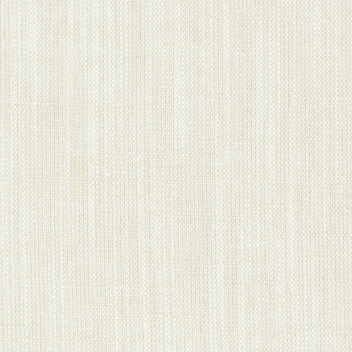 Biarritz Ivory by Clarke And Clarke Fabric CLARKE & CLARKE BIARRITZ VISCOSE - 70%;LINEN - 30% India HEAVY Horizontal: 0 and Vertical: 0 55 - Fabric Carolina -
