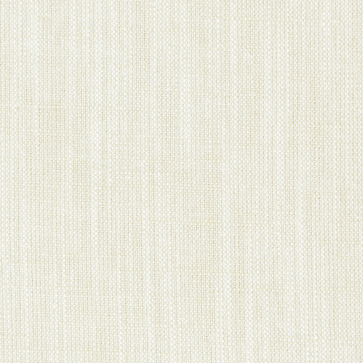 F0965 23 Biarritz Ivory by Clarke and Clarke Fabric CLARKE & CLARKE VISCOSE - 70%;LINEN - 30% India HEAVY Horizontal: 0 and Vertical: 0 55  - Fabric Carolina -