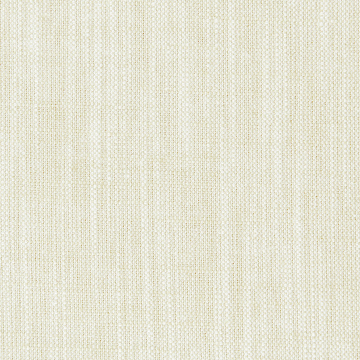 F0965 34 Biarritz Oyster by Clarke and Clarke Fabric CLARKE & CLARKE VISCOSE - 70%;LINEN - 30% India HEAVY Horizontal: 0 and Vertical: 0 55  - Fabric Carolina -