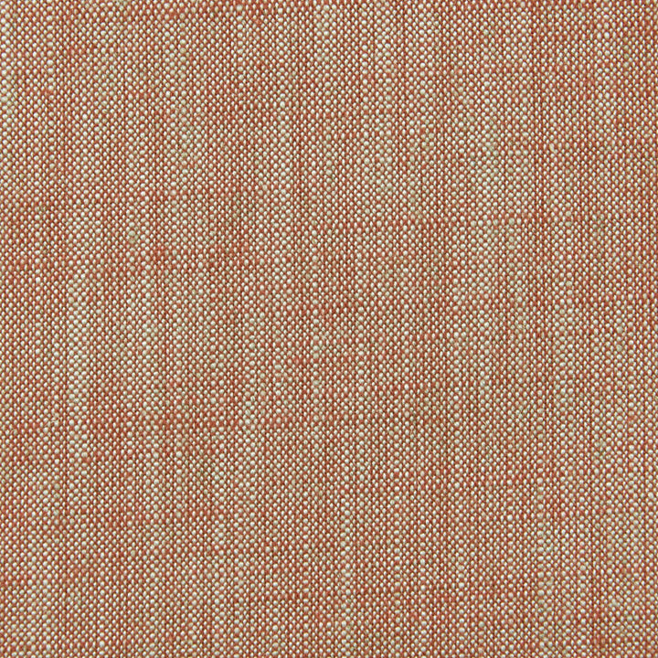 F0965 35 Biarritz Paprika by Clarke and Clarke Fabric CLARKE & CLARKE VISCOSE - 70%;LINEN - 30% India HEAVY Horizontal: 0 and Vertical: 0 55  - Fabric Carolina -