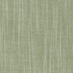 Biarritz Parsley by Clarke And Clarke Fabric