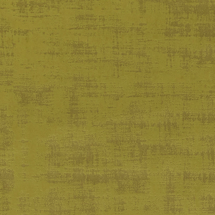 F0967 13 Alessia Citrus by Clarke and Clarke Fabric STUDIO G POLYESTER - 100% China HEAVY Horizontal: 19.49 and Vertical: 19.69 55  - Fabric Carolina -