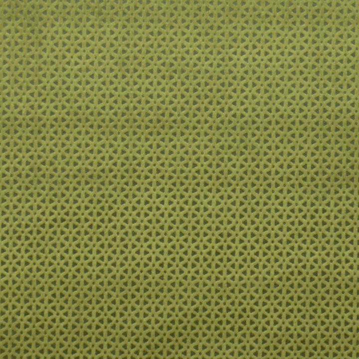 Loreto Olive by Clarke And Clarke Fabric CLARKE & CLARKE LUSTRO POLYESTER - 100% China HEAVY Horizontal: 0.79 and Vertical: 0.39 55 - Fabric Carolina -