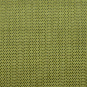 Loreto Olive by Clarke And Clarke Fabric