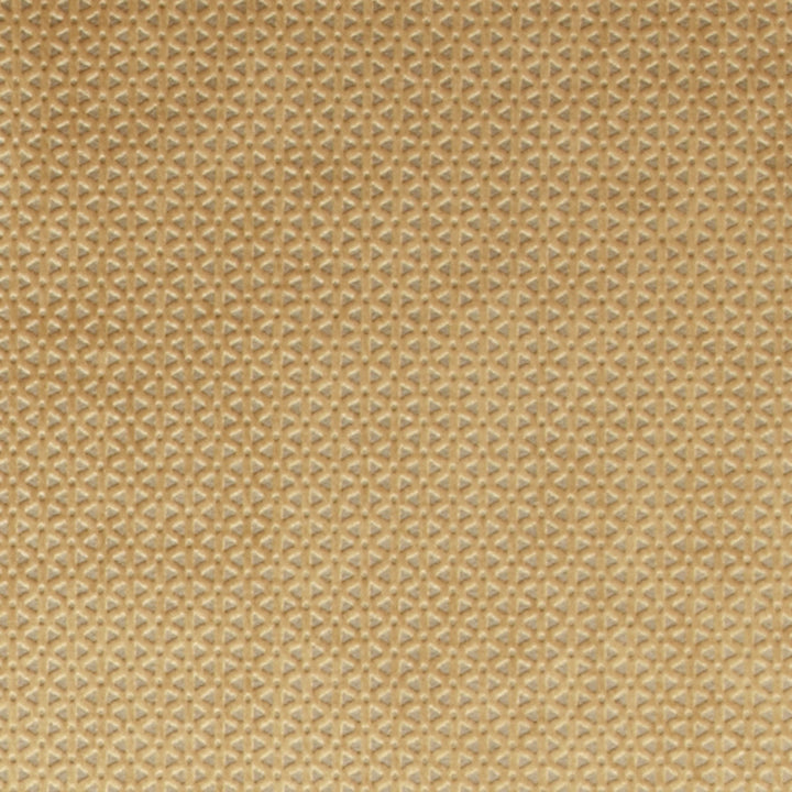 F0968 12 Loreto Gold by Clarke and Clarke Fabric STUDIO G POLYESTER - 100% China HEAVY Horizontal: 0.79 and Vertical: 0.39 55  - Fabric Carolina -