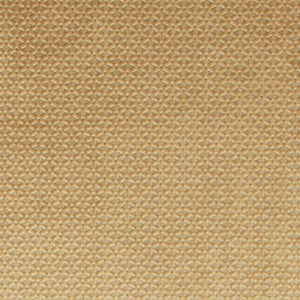 Loreto Gold by Clarke And Clarke Fabric