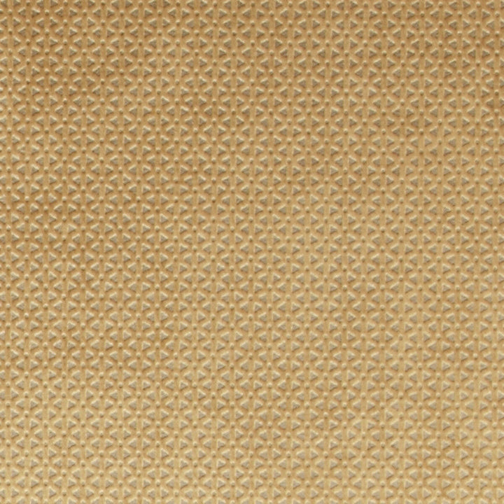 Loreto Gold by Clarke And Clarke Designer Fabric CLARKE & CLARKE LUSTRO POLYESTER - 100% China HEAVY Horizontal: 0.79 and Vertical: 0.39 55 - Swanky Fabrics -