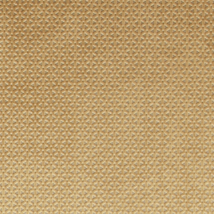 Loreto Gold by Clarke And Clarke Fabric CLARKE & CLARKE LUSTRO POLYESTER - 100% China HEAVY Horizontal: 0.79 and Vertical: 0.39 55 - Fabric Carolina -