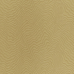 Fiji Antique by Clarke And Clarke Fabric