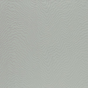 Fiji Birch by Clarke And Clarke Fabric