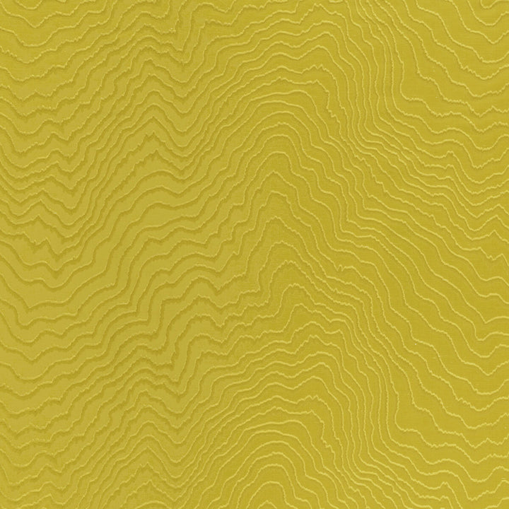 Fiji Citrus by Clarke And Clarke Fabric CLARKE & CLARKE FIJI LINEN - 42%;NYLON - 33%;VISCOSE - 25% India HEAVY Horizontal: 27.76 and Vertical: 19.29 56 - Fabric Carolina -